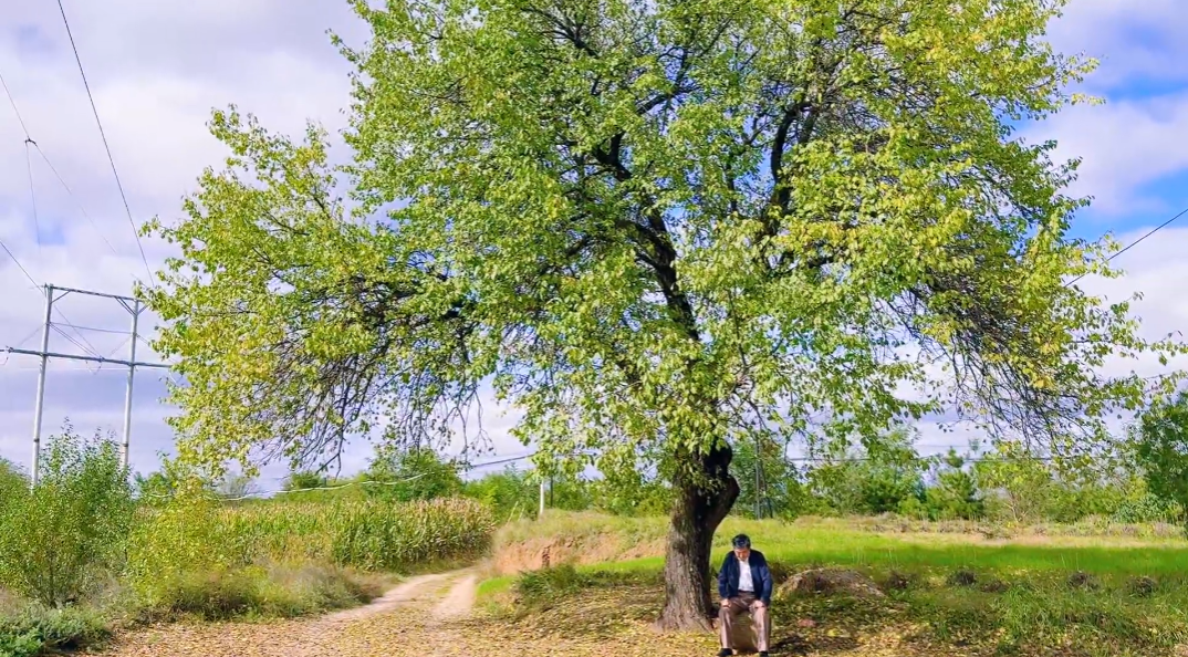 庆城县文化馆拍摄微短剧《儿女的家也是父母的家》